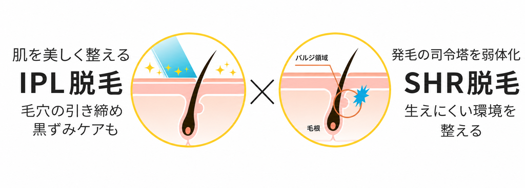 ストラッシュメンズ脱毛種類